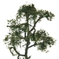 thumbnail image 2 of Modelos de árboles de diseño 3,54 Pulgadas Paisaje Paisaje Modelo árbol Sicomoro Diorama Decoraciones 5 Piezas, 2 of 7