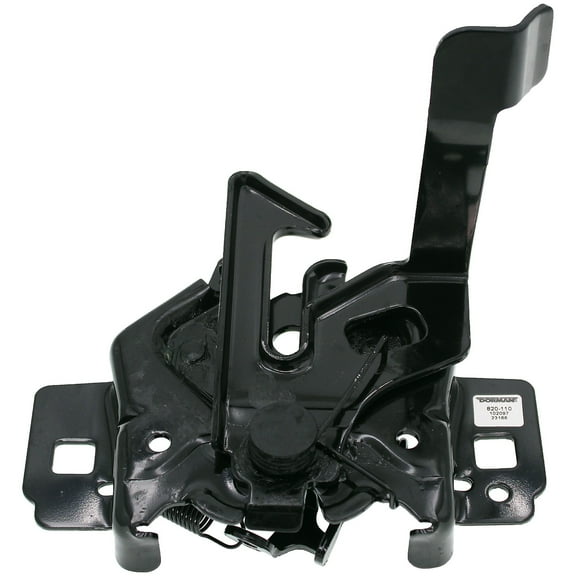 Dorman 820-110 Hood Latch Assembly for Specific Ford Models