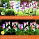 thumbnail image 5 of Lámpara solar Laklulu para jardín al aire libre, 3 piezas de luz solar con forma de lirio, lámpara solar con flores artificiales (rosa, violeta y blanco), 5 of 5
