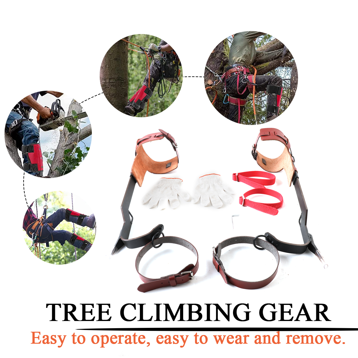 TABODD Tree Climbing Spikes Set, Tree Climbing Tool with Safety Belt