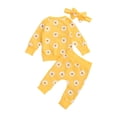 thumbnail image 3 of Douhoow 2PCS Infant Girl Autumn Clothes Set, Daisy Pullover Elastic Waist Long Pants, 3 of 8