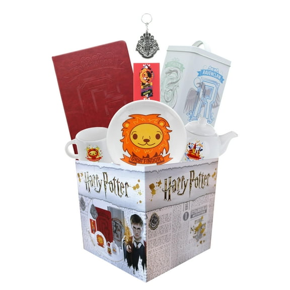 Harry Potter House Gryffindor LookSee Box