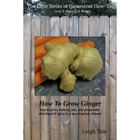 How To Grow Ginger: How To Grow, Harvest, Use, and Perpetuate This Tropical Spice in a Non-tropical Climate -