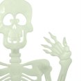 thumbnail image 3 of Glow in the Dark Plastic Skeleton - 3 Ft, 3 of 5