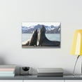 thumbnail image 3 of Two Adult Seals Face Off in Battle Animal Wall Art Wildlife Canvas Prints Wall Art Ready to Hang Unframed, 3 of 18
