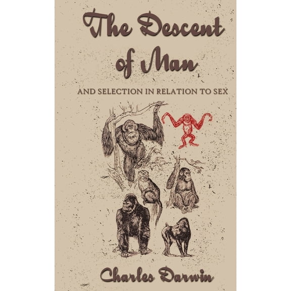 The Descent Of Man, (Paperback)