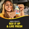 thumbnail image 4 of California Scents Palms Paper Newport New Car Air Freshener, 4 of 21