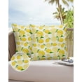 thumbnail image 6 of Outdoor Throw Pillow Cover Retro Summer Yellow Lemon Waterproof Cushion Covers 2 Pack Tropical Fruits Pillow Cases Home Decoration for Patio Garden Couch Sofa, 6 of 6