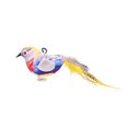 thumbnail image 1 of Hearth & Gear Indoor Cats Entertainment Squeaky Bird Toy With Natural Chirping Sound Catmint For Indoor Boredom Cats Cats Toy Dog with Squeakers for Small Dogs Dogs Large Dogs Strong Rope Dog Dog, 1 of 5