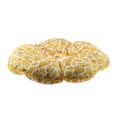 thumbnail image 1 of Milaget Soft Pet Recovery E-Collar Comfy Elizabethan Cone for Dogs Cats XL, 1 of 9