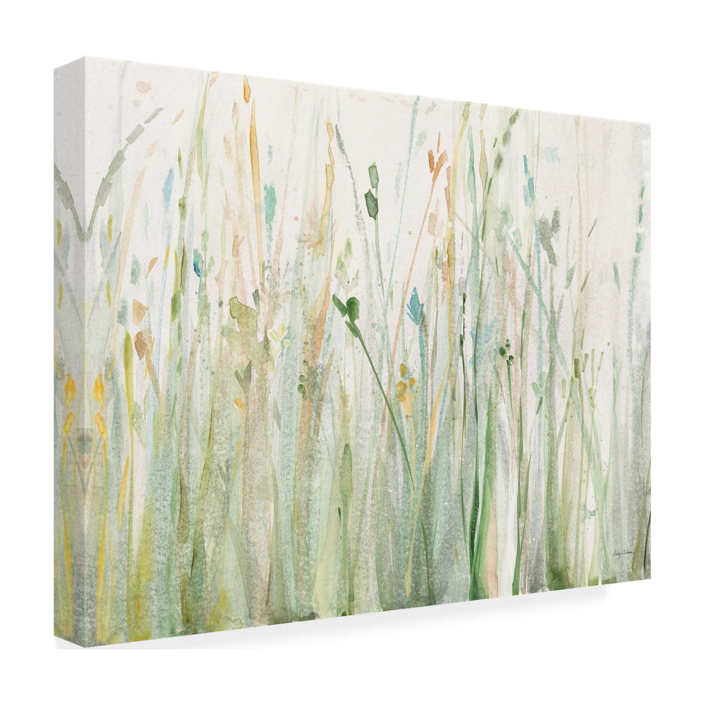 Avery Tillmon 'Spring Grasses II Crop' Canvas Art