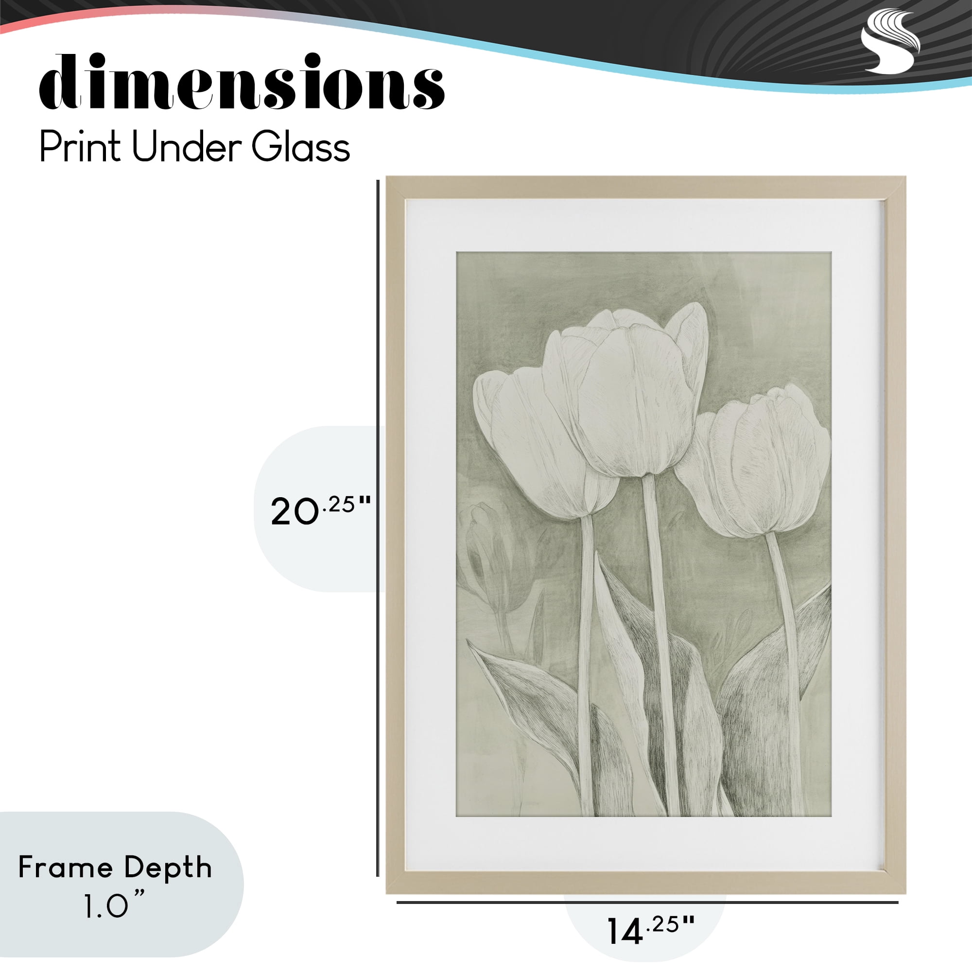 Stupell Industries Faded Tulips Pencil Sketch Birch Framed Print Under Glass, design by Petal Prints Design