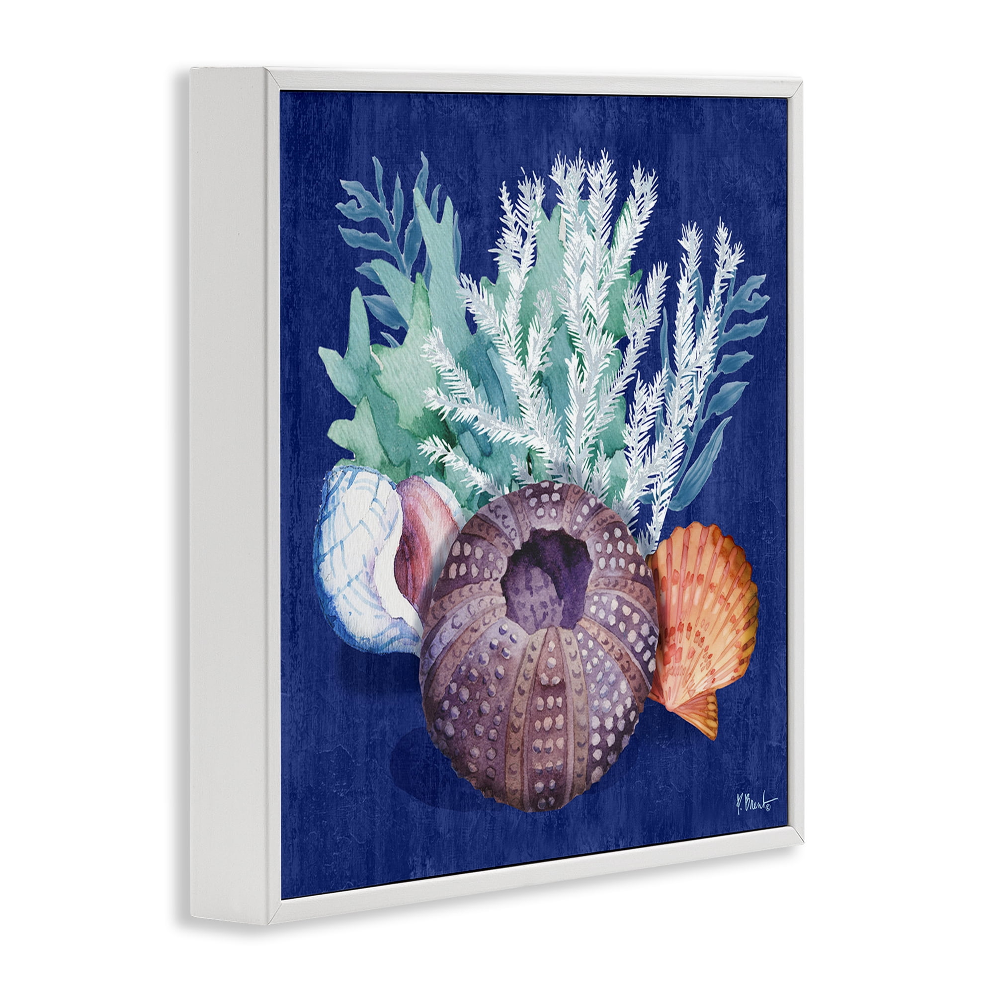Stupell Industries Urchin Sea Life Coastal Painting White Framed Art Print Wall Art, 12 x 12