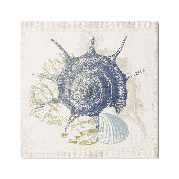 Stupell Industries Intricate Conch Seashell Drawing Layered Coral Botanicals Graphic Art Gallery Wrapped Canvas Print Wall Art, Design by Victoria Barnes
