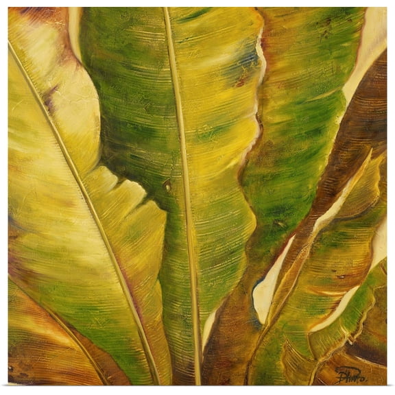 Great BIG Canvas | Rolled Patricia Pinto Poster Print entitled Uraba II