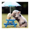 thumbnail image 2 of Cuadros Decorativos Piglet 5D DIY Diamond Painting Kits Full Square Drill Wall Decor Craft (ZQF9128) Wdftyju embutido en tela, 2 of 8