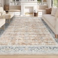 thumbnail image 1 of Vintage Area Rug x Washable Living Room Rug Indoor Print Accent Rugs for Bedroom Distressed Thin Throw Rugs Carpet for Living Room Kitchen Entryway, 1 of 7
