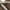 Dark Brown, variant on Sebago Men's Crest Docksides Tan Nubuck Boat Shoe 7W