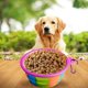 thumbnail image 3 of Collapsible Dog Bowls, 2 Pack Portable With Carabiner Clip For Pet, 3 of 4