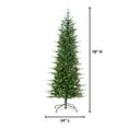 thumbnail image 3 of 6.5 ft. Pre Lit Clear Incandescent Natural Cut Narrow Dover Pine, 3 of 5