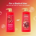 Caress Body Wash with Pump Tahitian Pomegranate & Coconut Milk Exfoliating Body Soap 25.4 oz