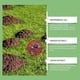thumbnail image 4 of Mole Repellent Powerful Vole Gopher Groundhog Rodent Repellant for Outdoor Lawn Garden Yard, Safe and Effective Gopher Deterrent, Armadillo Repellant, 4 of 5