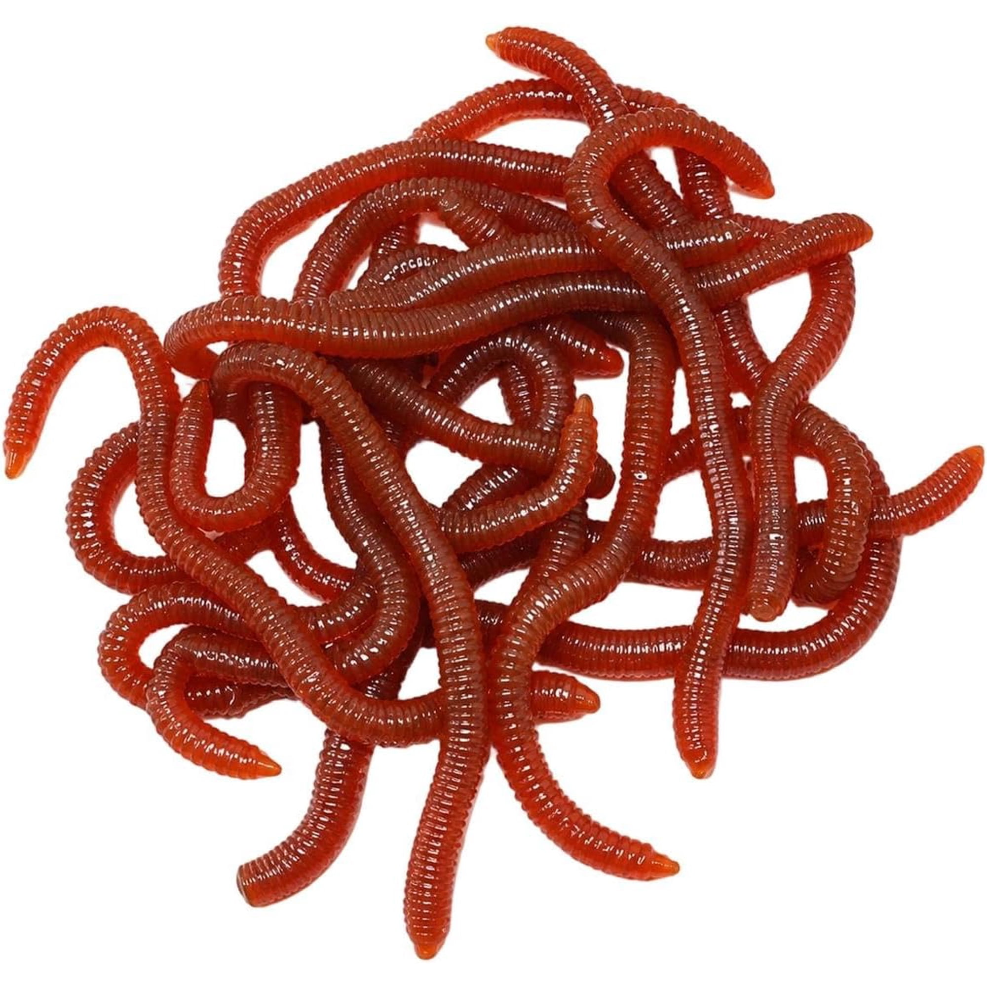 Simulation Earthworm Soft Fishing Lures Shrimp Scented Artificial Worm Bait | Fake Red Plastic Wacky Power Fish Bites for Bass Trout Freshwater Saltwater Halloween Lifelike Trick Sensory Bin Items