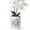 Vertical Flutes White, variant on EFISPSS 6" Modern Ceramic Planter with Vertical Flutes–Robin's Egg Blue，Orchid Pots with Drainage Tray