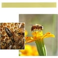 thumbnail image 5 of BTBXMO 120Pcs Manhao Fluvalinate Stripes Mite Varroa Beekeeping Medicine, 5 of 5
