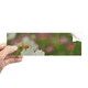 thumbnail image 1 of White Cosmos Rectángulo Parachoques Pegatina Cuaderno Ventana Calcomanía, 1 of 1