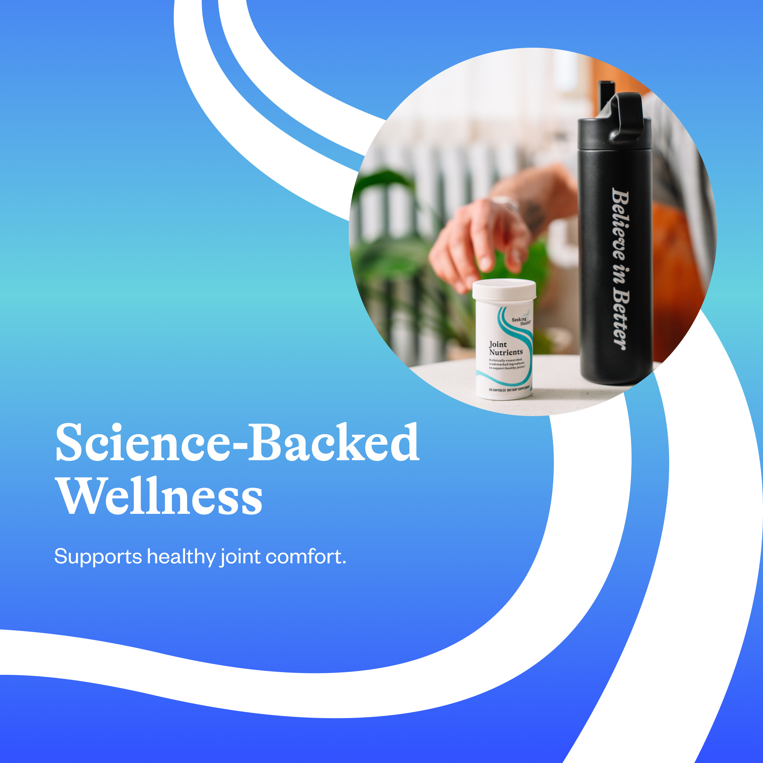 Seeking Health Joint Nutrients, with Collagen and Niacin, Supports Healthy Joints (60 Capsules)*