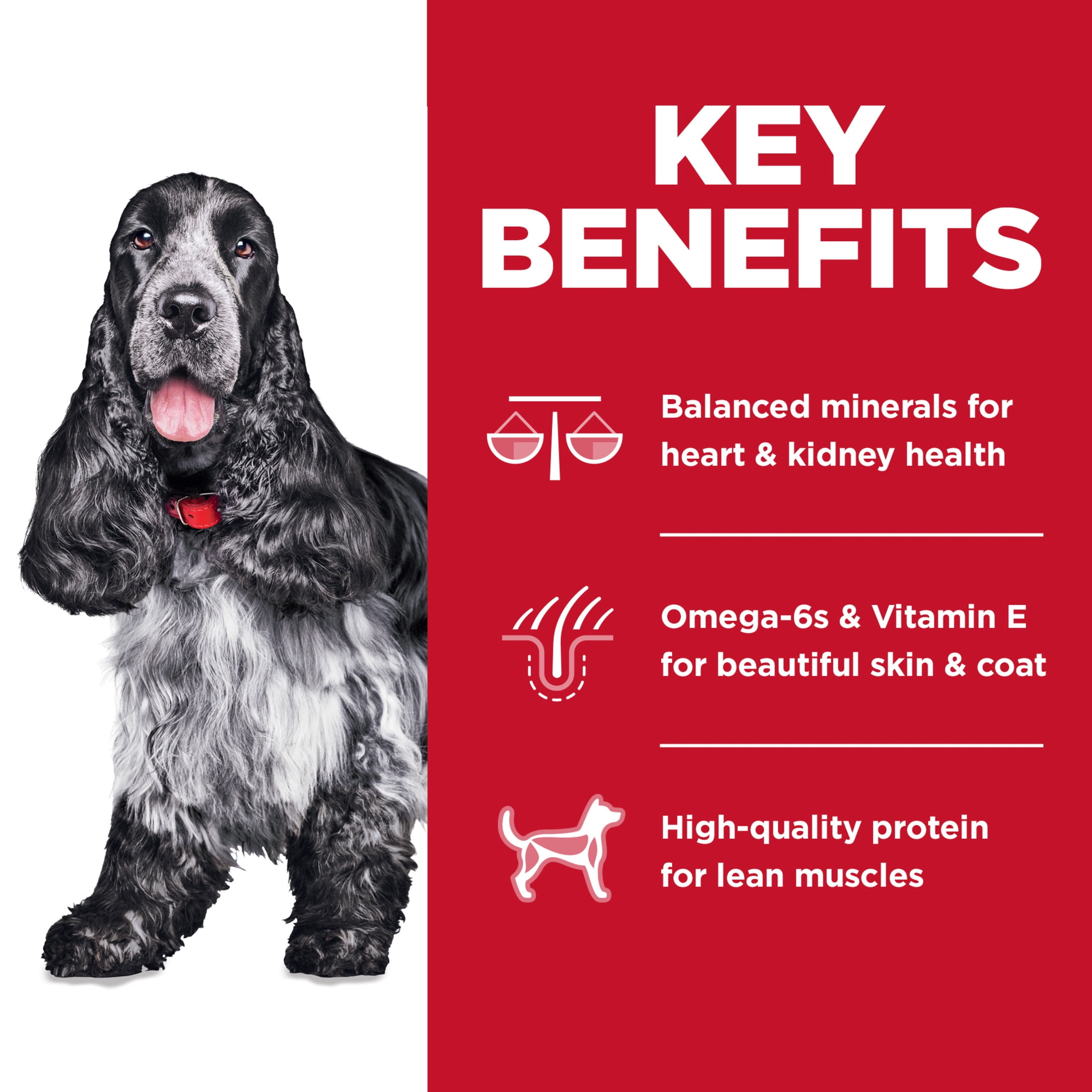 Hill's Science Diet No Corn, Wheat, Soy Chicken & Rice Dry Dog Food for 7+ Senior Dogs, 30lb Bag