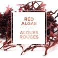 thumbnail image 4 of SHIQI-L‘Oréal Paris Masque Nettoyant Pur-Argile avec 3 Argiles Minérales + Algues Rouges, Exfolie et Affine la Peau Rugueuse, 50 ml, 4 of 4