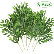 Husfou 25.6" Artificial Italian Ruscus Stems, 6 Pack Hanging Greenery Spray for Wedding Bouquet Arch Centerpieces Home Decorations