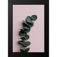 thumbnail image 1 of Artographie Studio 13x18 Black Modern Framed Museum Art Print Titled - Eucalyptus Pink No 01, 1 of 4