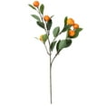 thumbnail image 3 of Ramas Artificiales de Mandarina Modelo de Fruta Realista de Alta Simulación para Jarrón Decoración de Fiesta en Casa ANGGREK Otros, 3 of 8