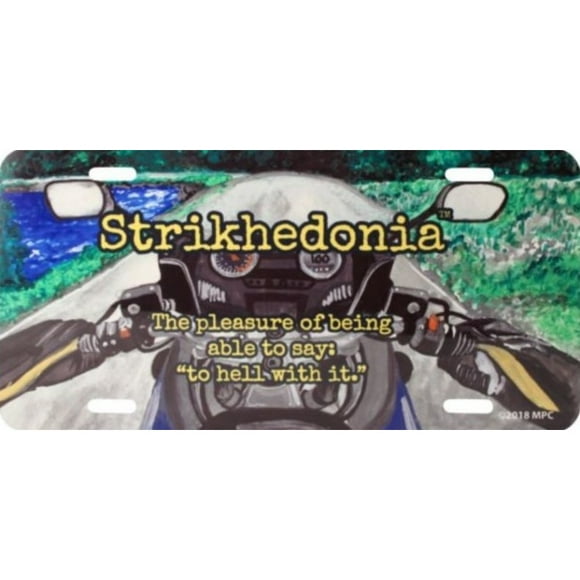 Strikhedonia Moto 2 Plaque d'Immatriculation en Métal Design