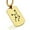 Gold, variant on Stainless Steel Virgo (Maiden) Astrology Constellation Dog Tag Pendant Necklace