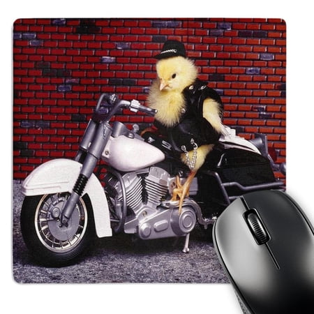 3dRose  Funny Biker Chick  MousePad price history on PriceWatchPro