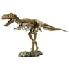 Elenco Tyrannosaurus Rex Skeleton Kit Model