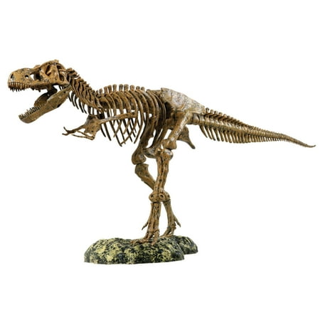 miniature t rex skeleton