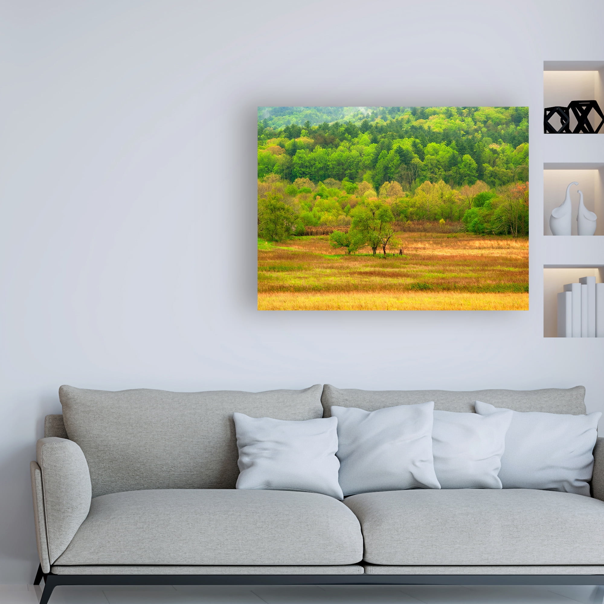 Trademark Fine Art 'Spring Trees' Canvas Art by David Hammond