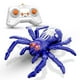thumbnail image 2 of Kugachren Remote Control Spider Robot Toy, Climbing Wall Walking Rechargeable RC Toy for Kids Adults, Realistic Simulation Christmas Gift, 2 of 9