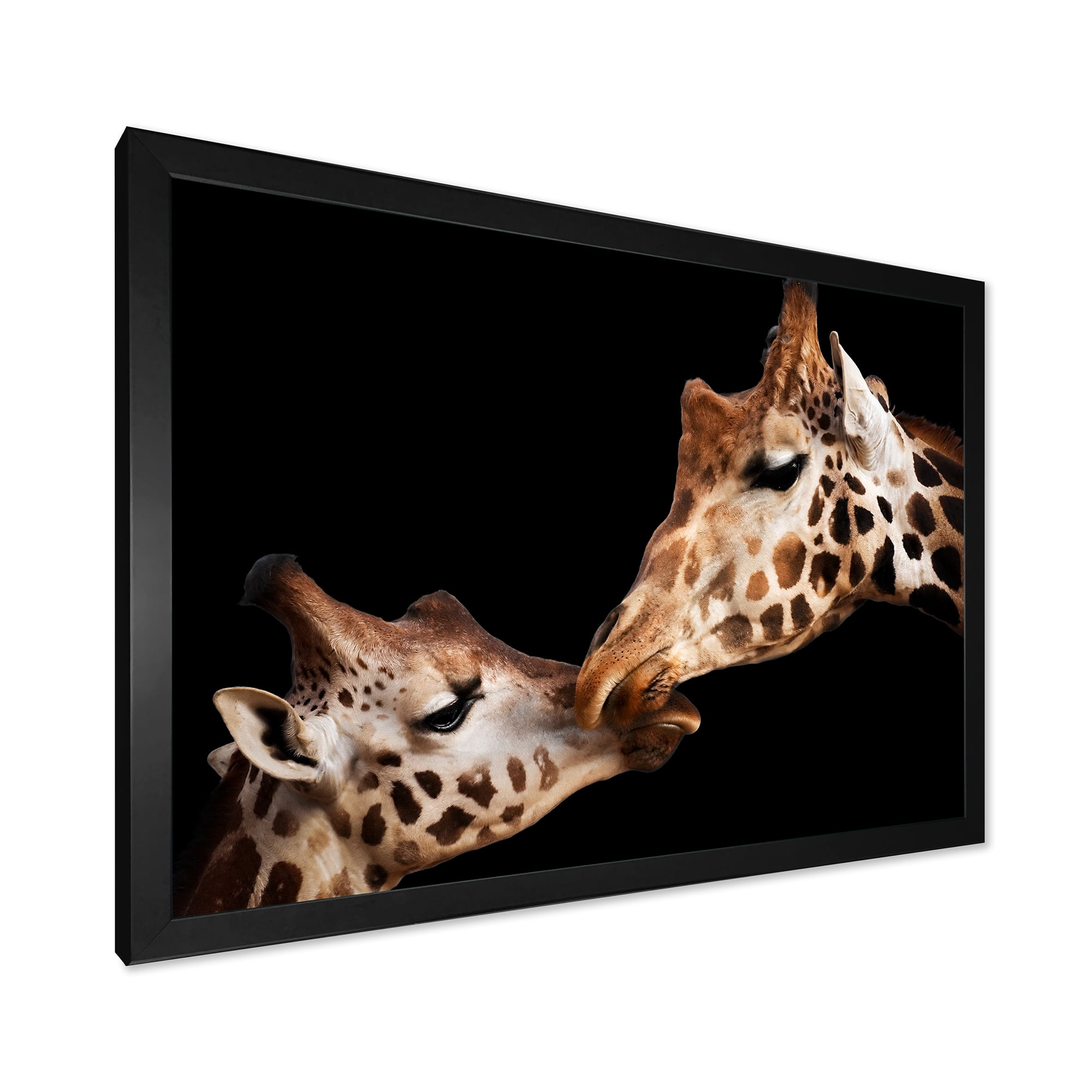 Designart 'Close UP Of Two Giraffes Kissing II' Farmhouse Framed Art Print