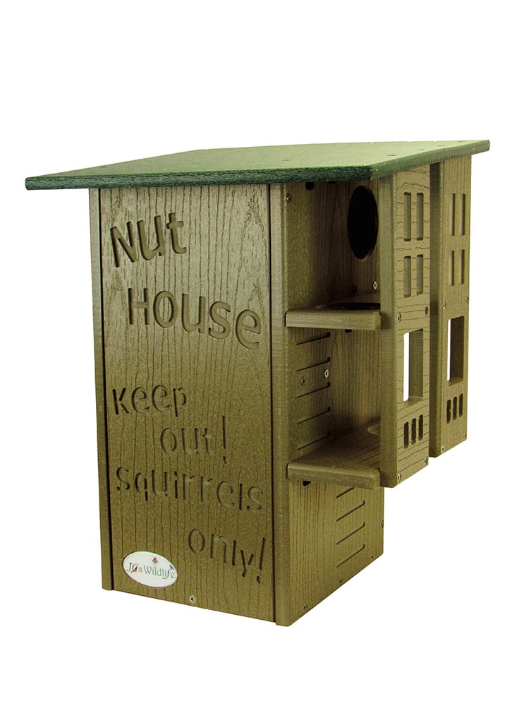 Ultimate Squirrel House