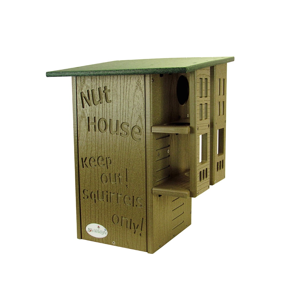 Ultimate Squirrel House