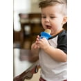 thumbnail image 1 of Nuby Garden Fresh Fruitsicle Frozen Pop Bandeja, multicolor Fokelyi JQWJ101-2, 1 of 4