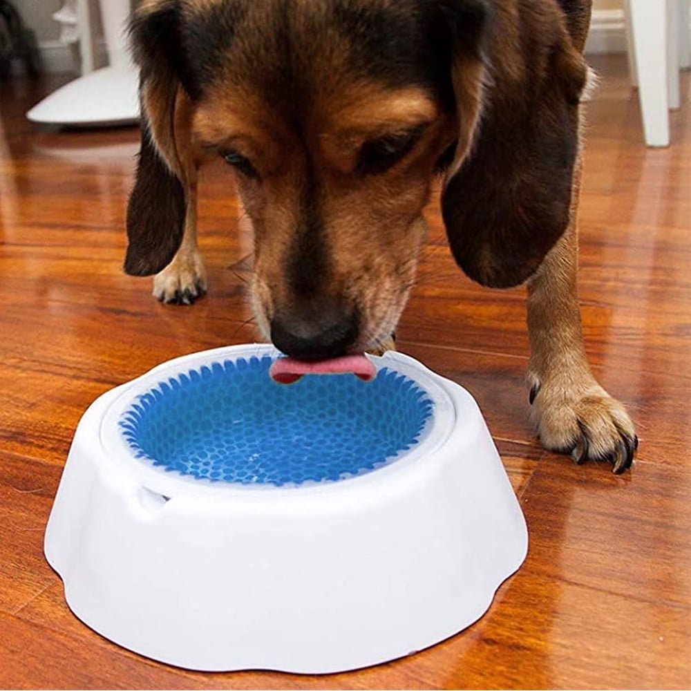 Dog water bowl that keeps water cold hotsell