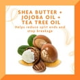 thumbnail image 4 of Cantu Shea Butter Tea Tree & Jojoba Hair & Scalp Oil, No-Drip Formula, 6 fl oz, 4 of 9