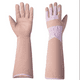 thumbnail image 1 of Par de guantes de jardinería resistentes a las espinas para recortar rosas, protección larga para el antebrazo para mujer, 1 of 5